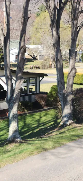 Maggie Valley Estates Picture 8