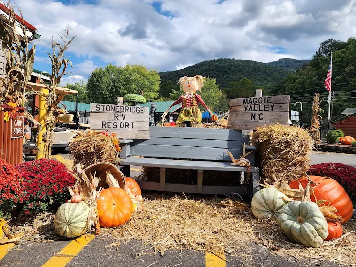 Stonebridge RV Resort and Campgrounds Picture 8