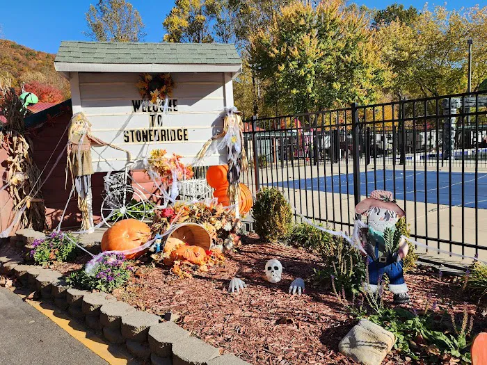 Stonebridge RV Resort and Campgrounds Picture 10