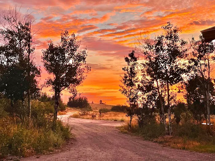 Wildwood Camp Cabin on Fall River Picture 7