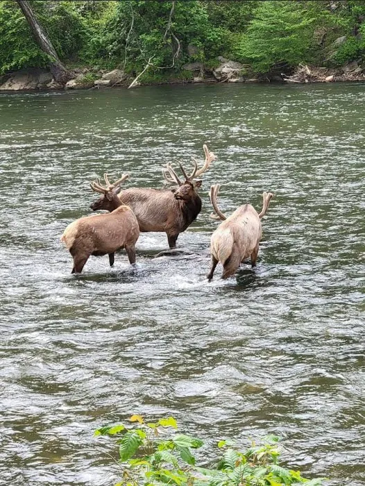 Country Girls RV Park Picture 5