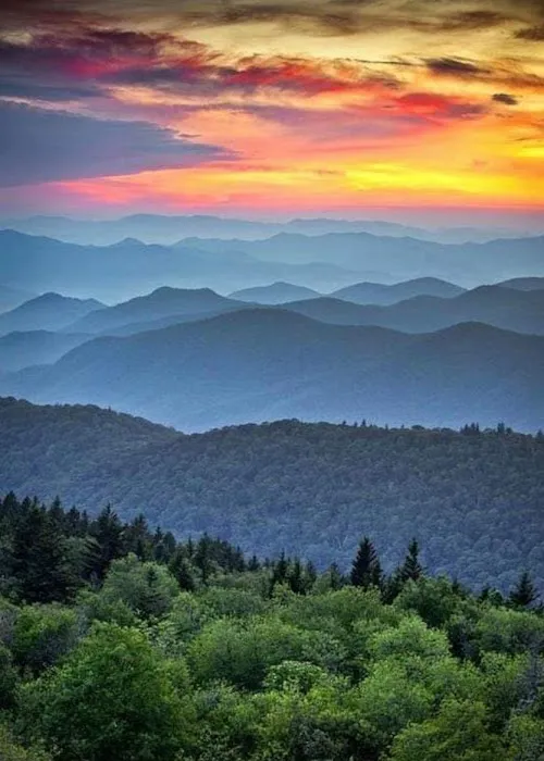 Country Girls RV Park Picture 6