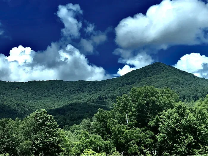 Trails End RV Park Picture 3