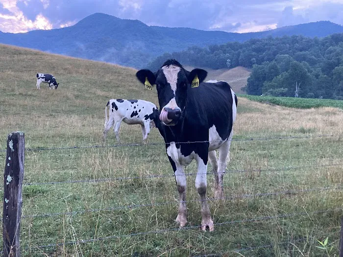 Trails End RV Park Picture 4