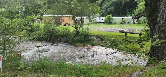 Conleys Creek Campground RV Sites Picture 2