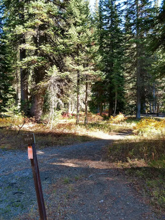 Upper Ford 9B8 Picture 1