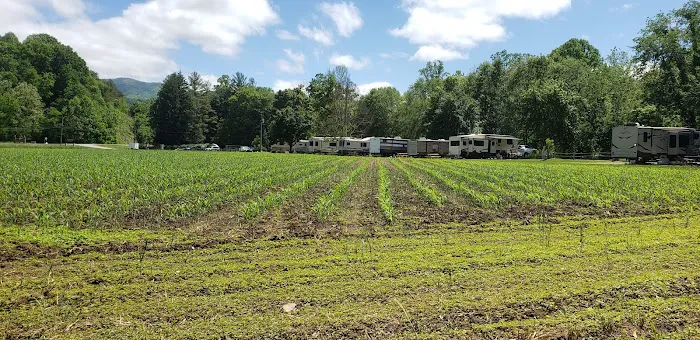 Riverhouse RV Resort Picture 5