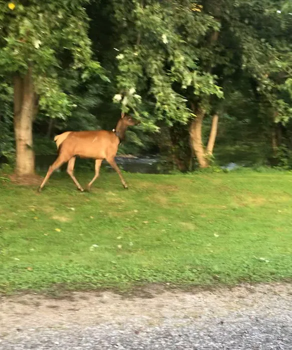 Riverhouse RV Resort Picture 4