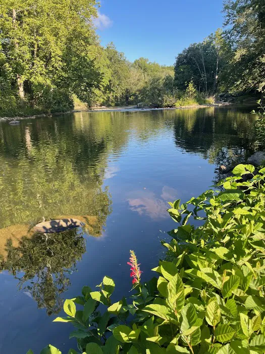 Riverhouse RV Resort Picture 6