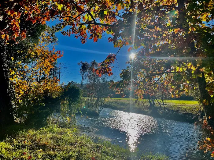 Riverhouse RV Resort Picture 8