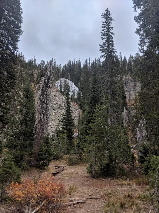 Albright Falls 9B9 Picture 3