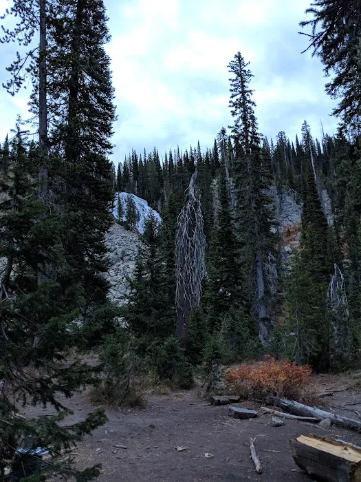 Albright Falls 9B9 Picture 4