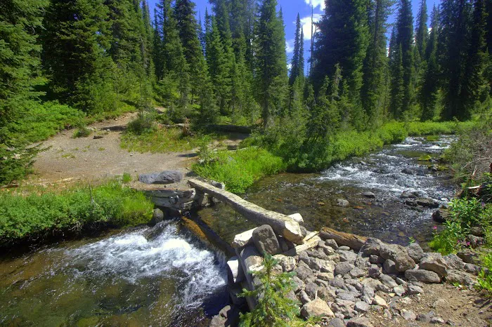 Gregg Fork Picture 1