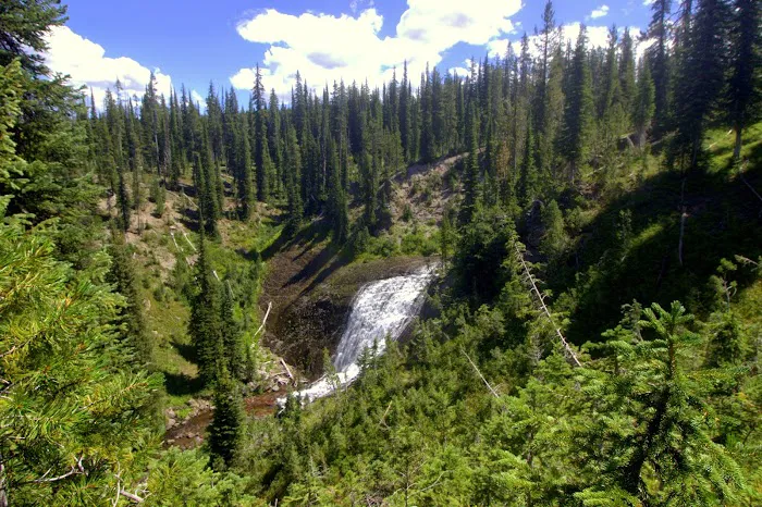 Gregg Fork Picture 2