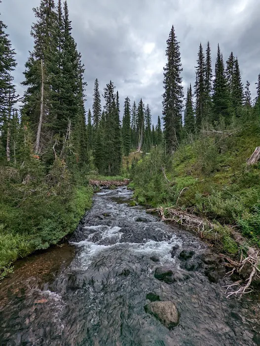 Gregg Fork Picture 3