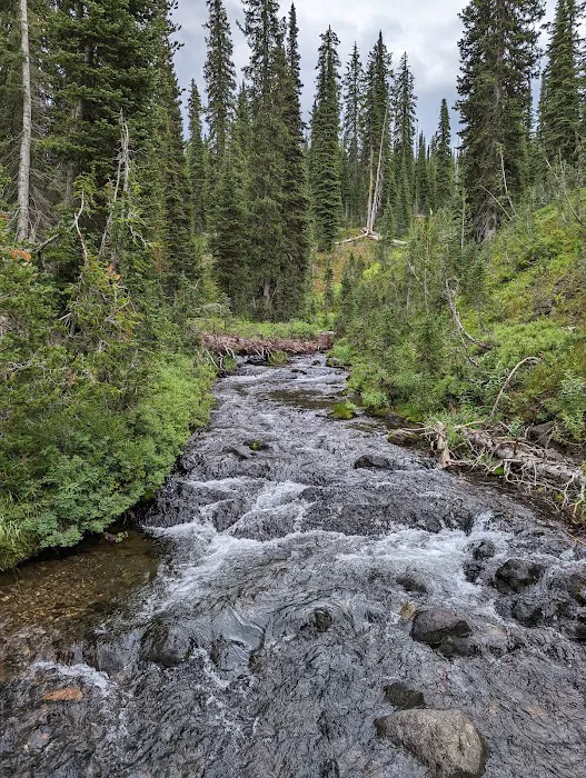 Gregg Fork Picture 4