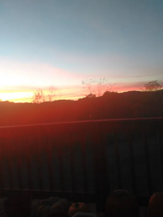 Holly Hill Estates Picture 4
