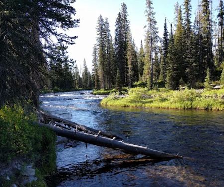 Upper Falls River 9F2