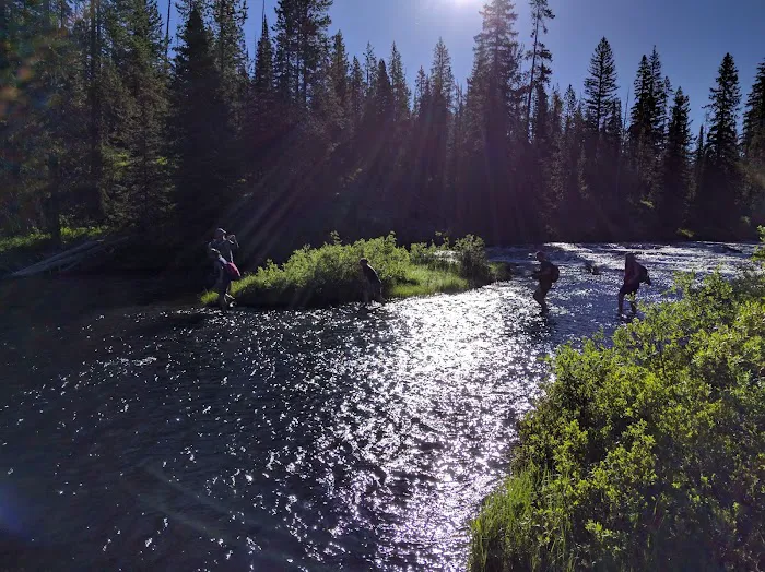 Upper Falls River 9F2 Picture 2
