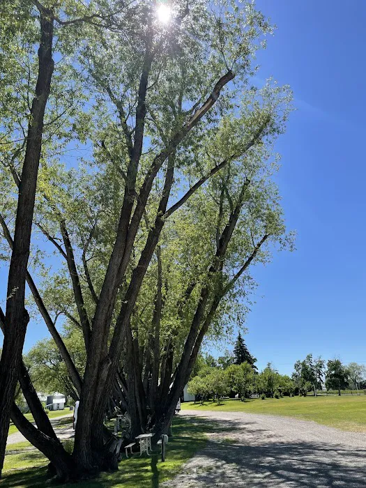 Jolley Camper RV and Cottages Picture 5