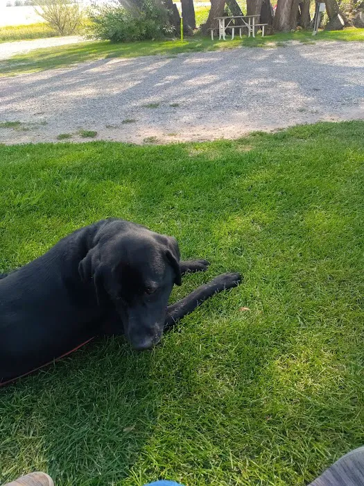 Jolley Camper RV and Cottages Picture 10