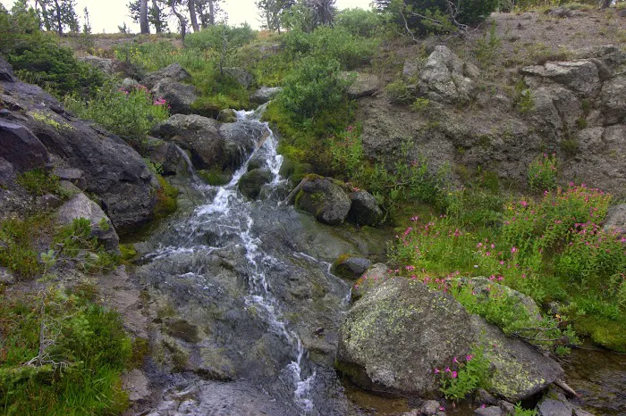 Douglas Knob Meadow Picture 2