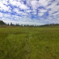 Douglas Knob Meadow ico