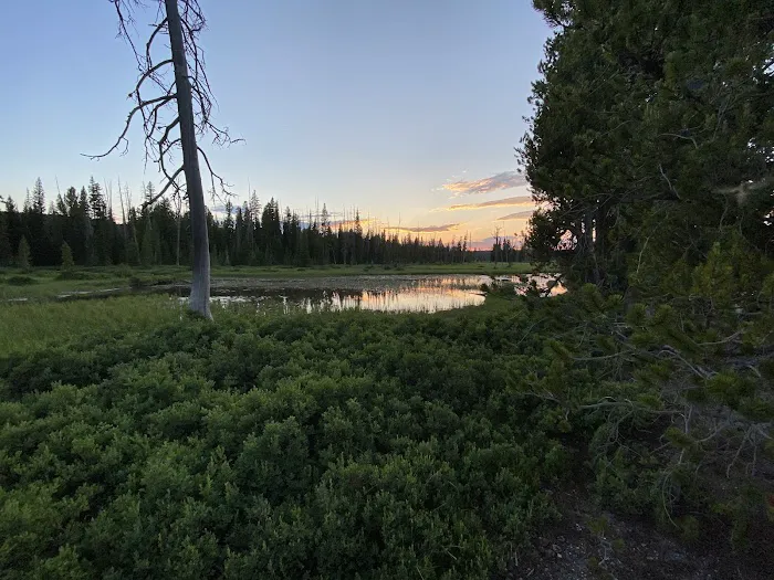 Basin Beach Picture 4