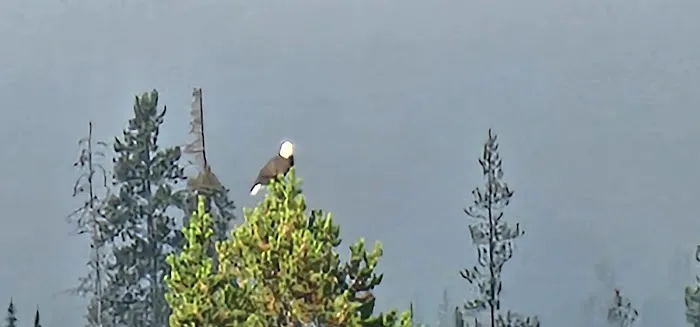 Basin Bay Point Picture 7