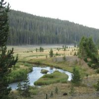 Moose Creek Meadow ico