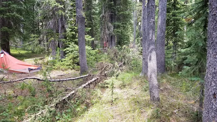 Flat Top 8R4 Picture 6