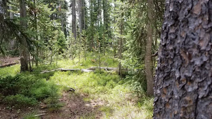 Flat Top 8R4 Picture 1