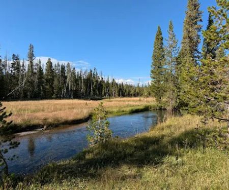 Firehole Springs