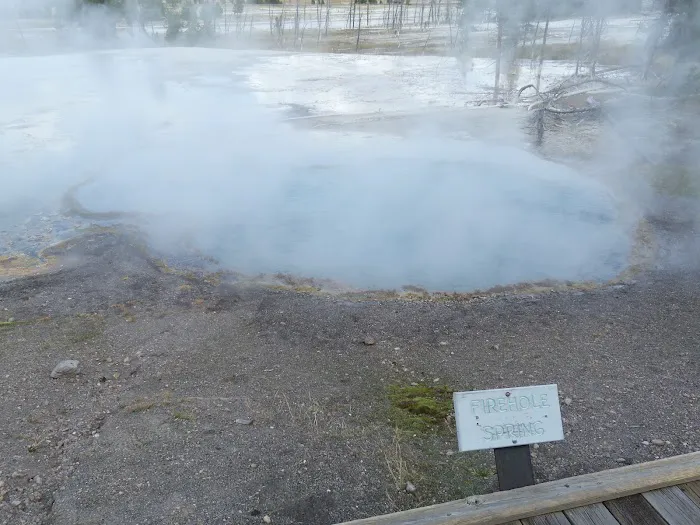 Firehole Springs Picture 8