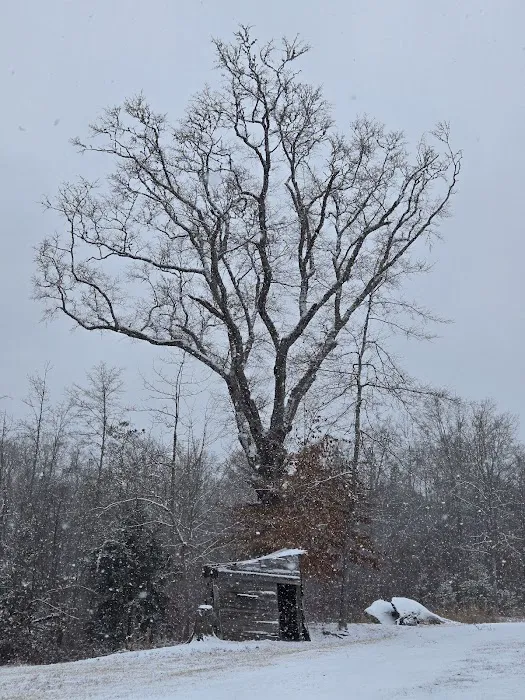 Spring Hollow Camping, LLC Picture 3