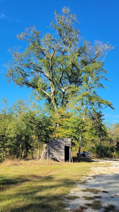 Spring Hollow Camping, LLC Picture 4