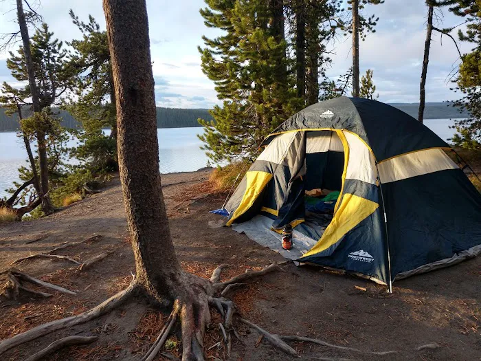 Bluff Top 8R2 Picture 3