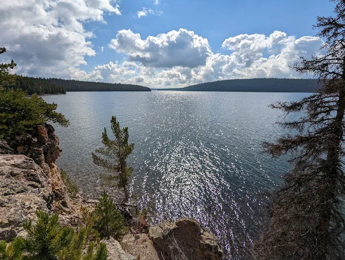 Bluff Top 8R2 Picture 1