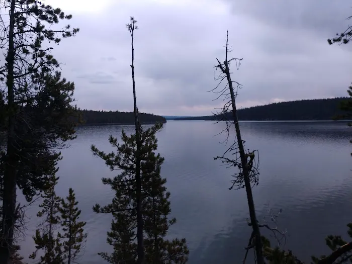 Bluff Top 8R2 Picture 5