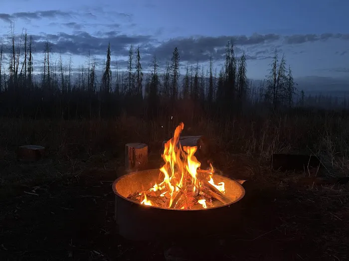 Grassy Lake Road Campsites Picture 2