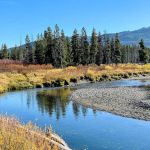Grassy Lake Road Campsites