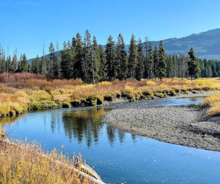 Grassy Lake Road Campsites