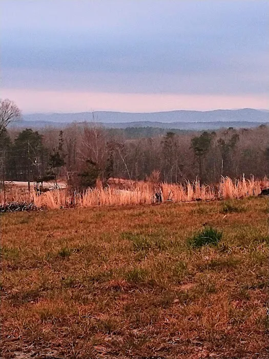 Scenic View R V Park and campground Picture 7