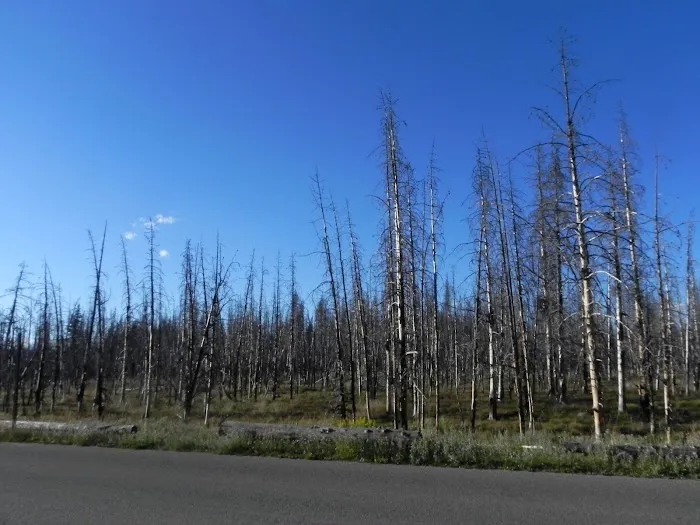 Flagg Ranch Campground Office & Laundry Facility Picture 5