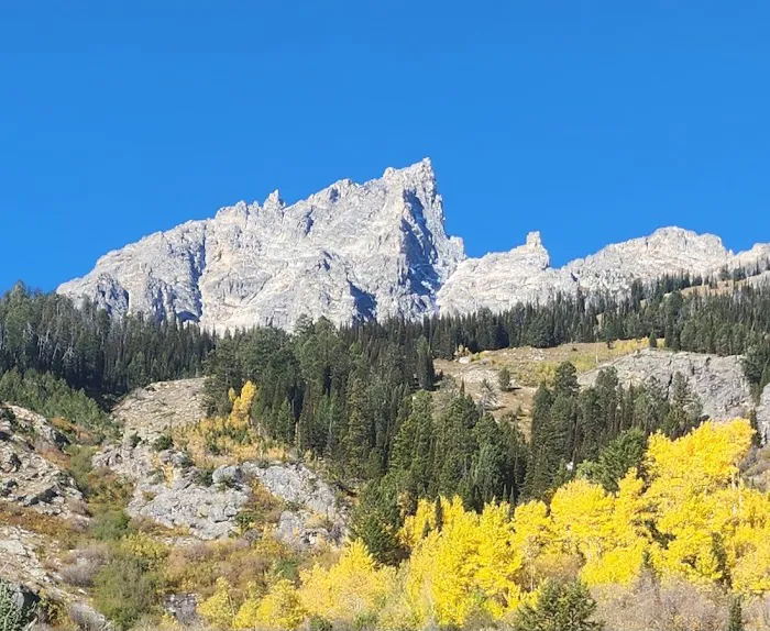 Flagg Ranch Campground Office & Laundry Facility Picture 10