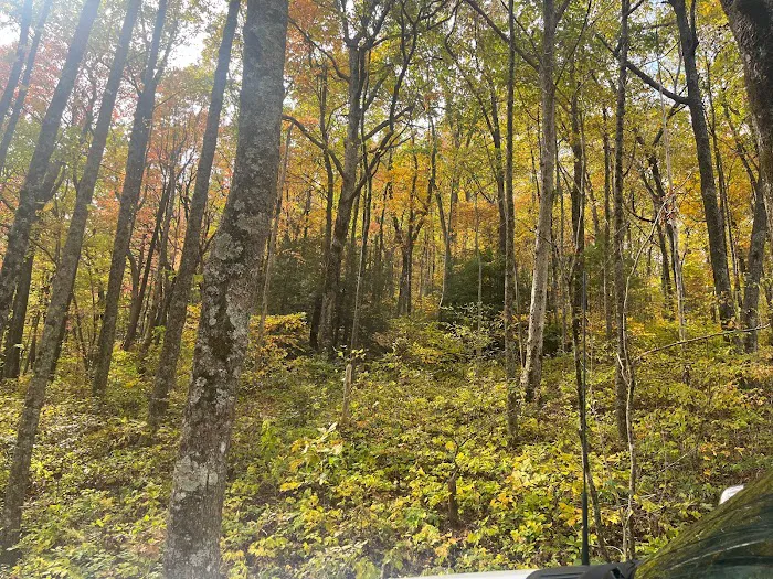 Pendleton Acres Picture 4