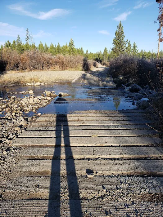 Sheffield Campground Picture 3