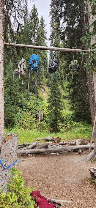 Snake River 8C1 Picture 10