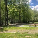 Little Field RV Park