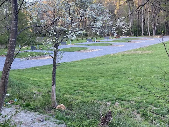 Little Field RV Park Picture 8